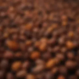A vibrant display of cloves showcasing their unique texture and color