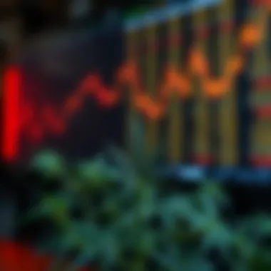 Examining MJ ETF Holdings: A Comprehensive Analysis Summary Examining MJ ETF Holdings: A Comprehensive Analysis Summary
