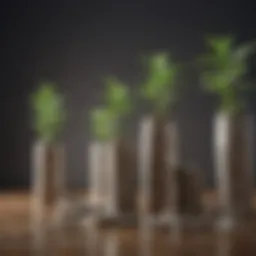 Visual representation of mutual funds growth