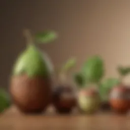 Visual representation of savings growth over time with Acorns