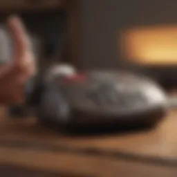 Telephone with Credit Reporting Agency Logo