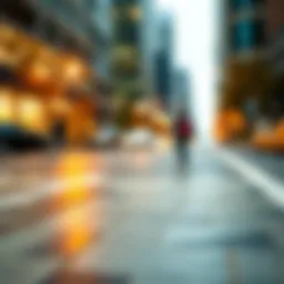 Navigating the Landscape of S and P Sector ETFs Introduction