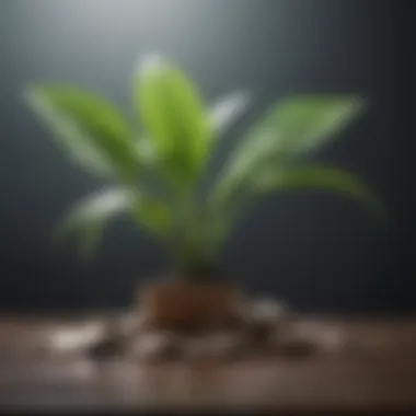 Financial Security Growth Concept of financial security represented by a growing plant and coins.