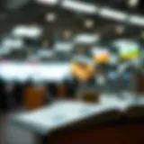 Understanding Capital Gains Taxation Introduction