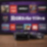 Overview of The Roku Channel subscription options