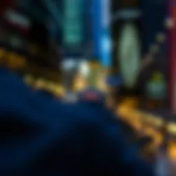 Understanding Government ETFs: A Comprehensive Analysis Introduction