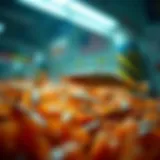 Understanding the Dynamics of Shrimp Stock Investment Introduction