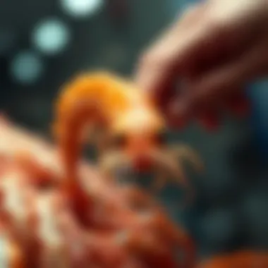 Notable Understanding the Dynamics of Shrimp Stock Investment Notable Understanding the Dynamics of Shrimp Stock Investment
